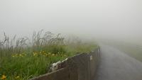 Cliffs of Moher ...Wooooo?