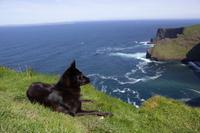 Cliffs of Moher