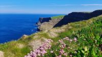 Cliffs of Moher