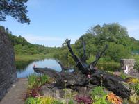 Cong, Connemara