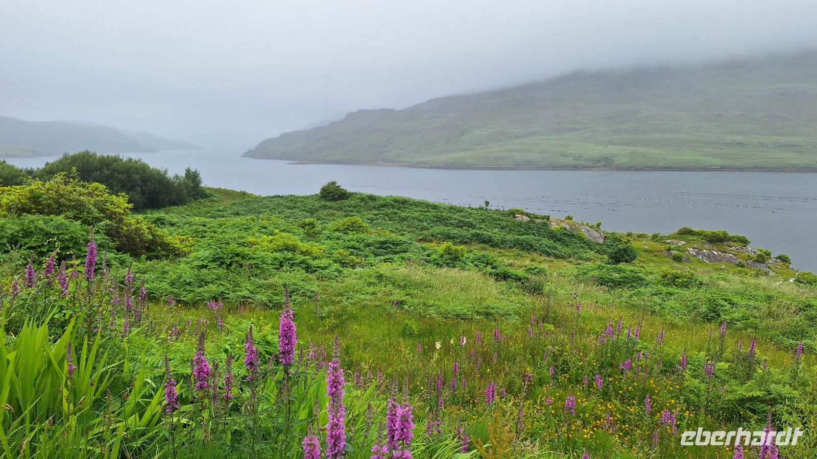 Connemara 