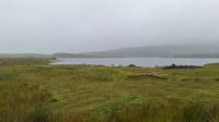 Connemara 