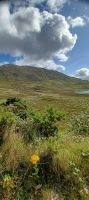 Connemara Region
