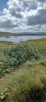 Connemara Region