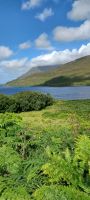Connemara Region