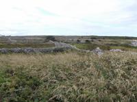 Connemara