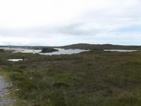 Connemara