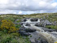 Connemara