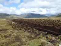 Connemara