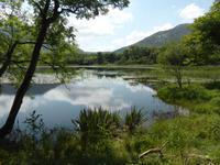 Connemara