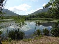 Connemara