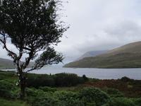 Connemara