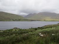 Connemara