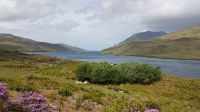 Connemara