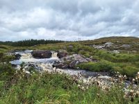 Connemara