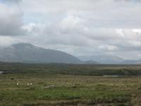 Connemara
