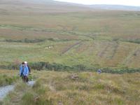 Connemara