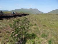 Connemara