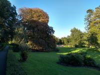 Coole Park - Co. Galway
