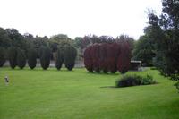 Coole Park