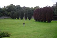 Coole Park