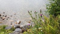 County Mayo