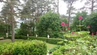 DSC_0216Glenveaghgarden (16)