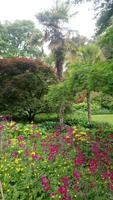 DSC_0216Glenveaghgarden (4)