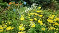 DSC_0216Glenveaghgarden (5)