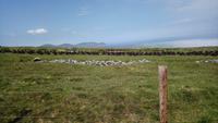 DSC_0221cieldifields (6)