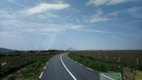 DSC_0238cmayo (18)