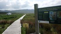 DSC_0238cmayo (35)