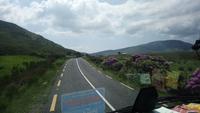 DSC_0238cmayo (38)