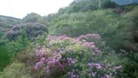 DSC_0238cmayo (4)