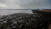 DSC_0245Carrickfergus_nordirland (16)