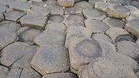 DSC_0279giantsCauseway (3)