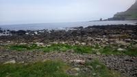 DSC_0279giantsCauseway (9)