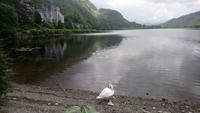 DSC_0340irlandjuni2018 (8)