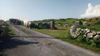 DSC_0363Irlandjuni2018 (41)