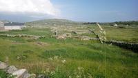 DSC_0416carna (4)