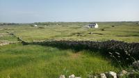 DSC_0416carna (5)
