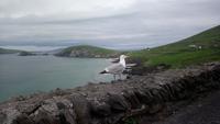 DSC_0524Irland Juni 2018 (12)
