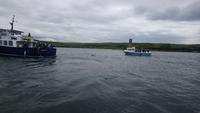 DSC_0555Irland Juni 2014 (15)