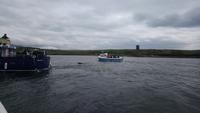 DSC_0555Irland Juni 2014 (16)