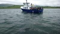 DSC_0555Irland Juni 2014 (19)