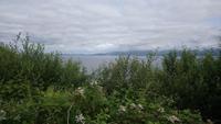 DSC_0555Irland Juni 2014 (29)
