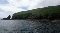 DSC_0555Irland Juni 2014 (3)