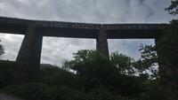 DSC_0555Irland Juni 2014 (32)