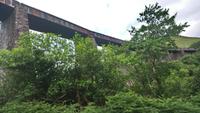 DSC_0555Irland Juni 2014 (33)