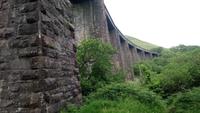DSC_0555Irland Juni 2014 (34)